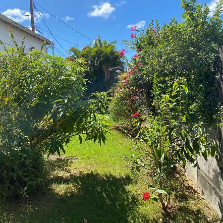 Maison Petit Paradis Basse-Terre Kültér fotó
