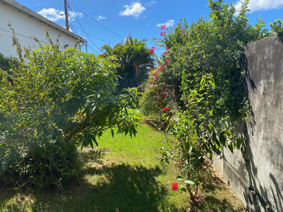 Maison Petit Paradis Basse-Terre Kültér fotó